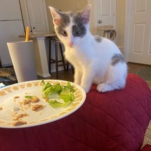 Meet your Posher, Danya